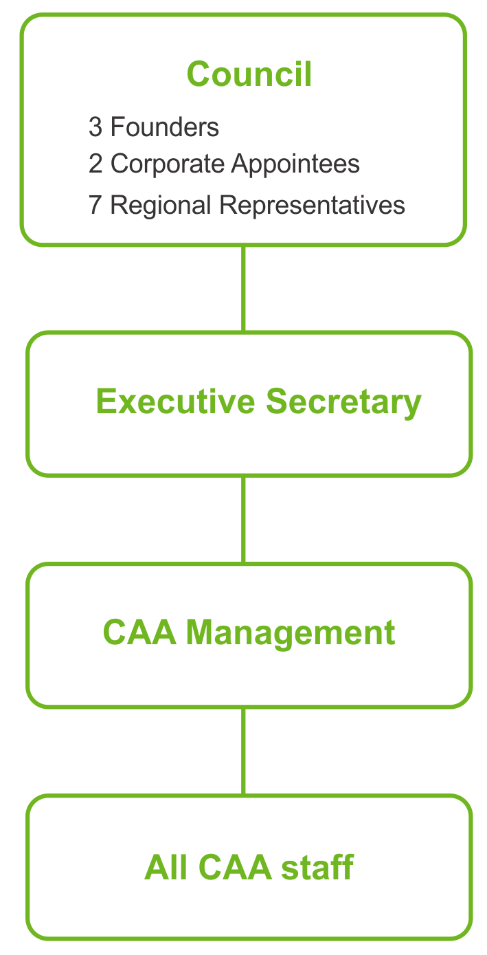 CAA organisational structure